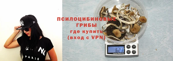 прущий лед Киреевск
